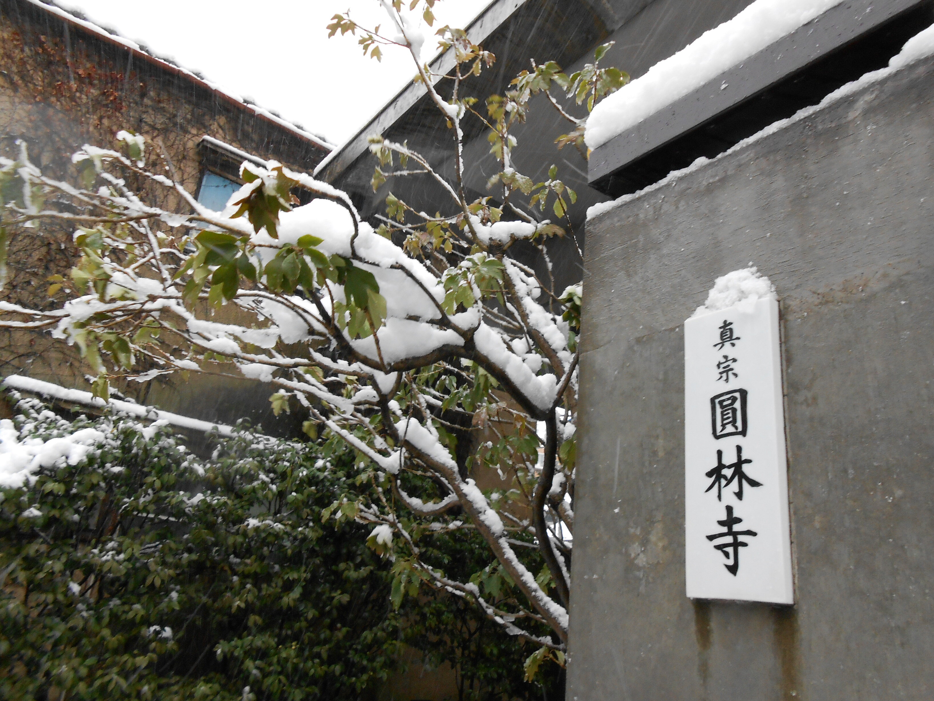 生前に法名を受けましょう